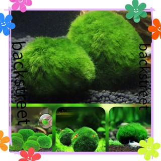 Backstreet Marimo Moss Malls Botany พืชน้ําประดิษฐ์ สําหรับตกแต่งตู้ปลา