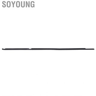 Soyoung 51357060249  Window Glass Seals Weather Strip Rear Left Door Fixed Installation for Car