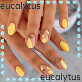 Eucalytus1 เล็บปลอม หัวกลม ไล่โทนสี แบบเต็มรูปแบบ แฟชั่นสําหรับผู้หญิง