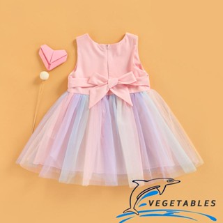 Zhy-เด็กวัยหัดเดิน เด็กผู้หญิง ชุดเดรสแขนกุด โบ สีรุ้ง Tulle Tutu ชุดเดรส