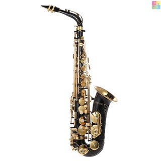 [พร้อมส่ง] Ammoon Eb Alto Saxophone เครื่องดนตรีอัลโตแซกโซโฟน ทองเหลือง E Flat Sax 82Z Key Type Woodwind พร้อมแปรงทําความสะอาด ผ้า ถุงมือ พร้อมสายคล้อง