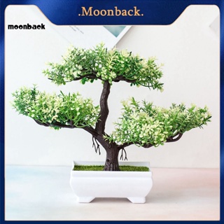 &lt;moonback&gt; ต้นสนประดิษฐ์ พร็อพถ่ายรูป สําหรับตกแต่งบ้าน งานแต่งงาน บอนไซ 1 ชิ้น 