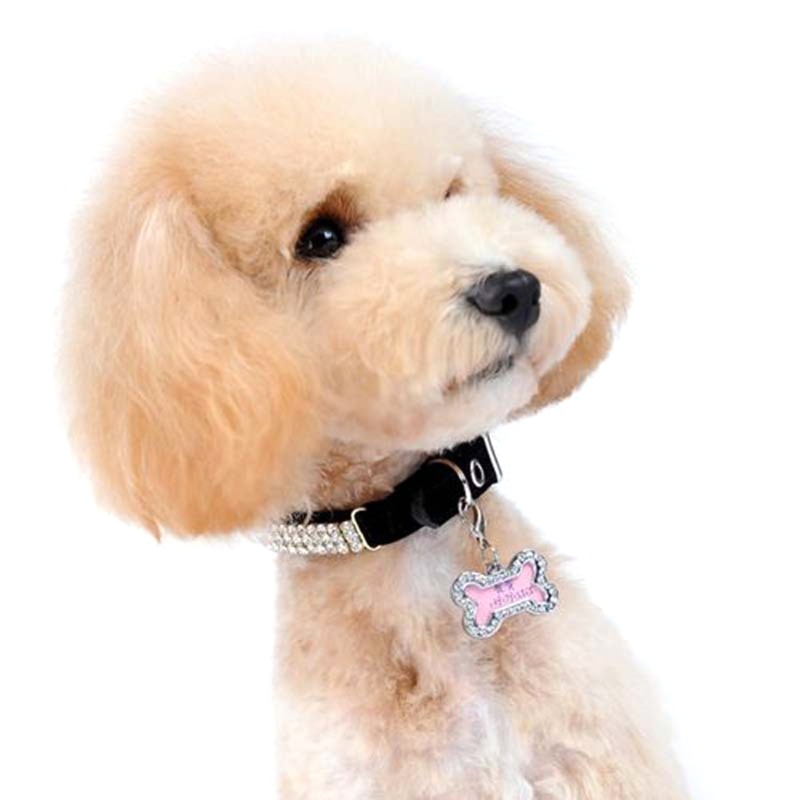 MIS แท็กสัตว์เลี้ยงน่ารักสําหรับสุนัขปลอกคอสัตว์เลี้ยง Charm Bone Dog Id Tag Dogs Tag
