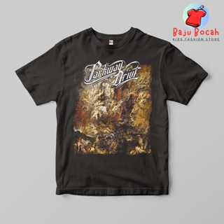 เสื้อยืด พิมพ์ลาย PARKWAY DRIVE พรีเมี่ยม สําหรับเด็กผู้ชาย และผู้หญิง อายุ 1-9 ปี