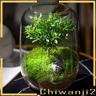 [Chiwanji2] แจกันแก้วใส สําหรับใส่ต้นไม้ สวนขวด