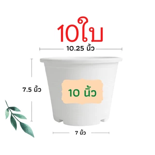 กระถางต้นไม้พลาสติก กระถางต้นไม้ กระถาง สีดำ สีขาว 10 นิ้ว 10ใบ ราคาส่ง