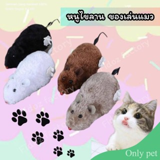 Only pet หนูไขลาน​ ของเล่นแมว​ หนูไขลานสัตว์​เลี้ยง​ พร้อมส่ง​‼️