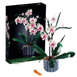 Yohio 608pcs Phalaenopsis Building Blocks สำหรับสาวการออกกำลังกายที่สวยงาม Hands On Skills Flower Bouquet