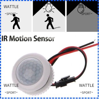 Wattle เซนเซอร์ตรวจจับการเคลื่อนไหวร่างกายมนุษย์ อินฟราเรด ความไวแสงสูง 110V 220V