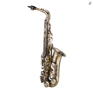 {fly} เครื่องดนตรีแซกโซโฟนอัลโตแซกโซโฟน E-flat สไตล์วินเทจ Eb Alto Sax Woodwind พร้อมกระเป๋าใส่คอ และสายคล้องคอ สําหรับผู้เริ่มต้น นักเรียน ผู้เล่นระดับกลาง