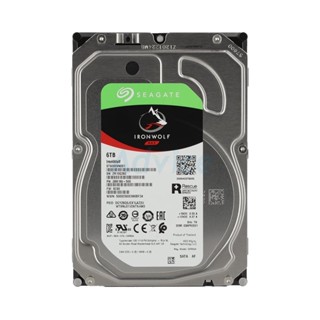 6 TB HDD SEAGATE IRONWOLF (5400RPM, 256MB, SATA-3, ST6000VN001)