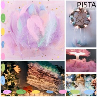 Pista ขนห่านธรรมชาติ เครื่องประดับผม งานฝีมือ DIY 100 ชิ้น