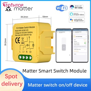 Matter Wifi สมาร์ทสวิตช์โมดูลรีเลย์ 1-gang 16a เข้ากันได้ Homekit Smartthings Alexa Home [TOP]