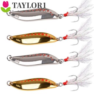 Taylor1 Vib Lure เหยื่อตกปลาโลหะ รูปปากปลอม 2.5 กรัม - 20 กรัม