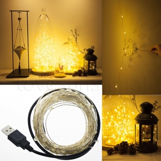 [คริสต์มาส] ไฟ LED แบตเตอรี่ Usb กันน้ํา / สายไฟทองแดง Gypsophila / ไฟนางฟ้า สําหรับงานปาร์ตี้ งานแต่งงาน เทศกาล กันน้ํา / ตกแต่งคริสต์มาส