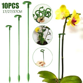 New 10pcs Succulent Phalaenopsis Flower Stand Plant Pot Fixed Protection Bracket