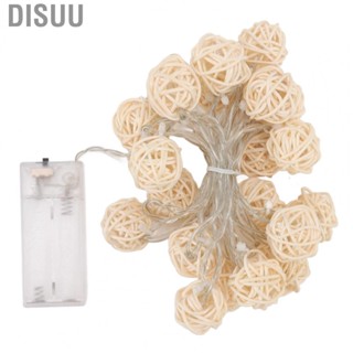 Disuu Rattan String Lights  Powered 20 LEDs Ball For