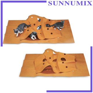 [Sunnimix] ของเล่นอุโมงค์ ที่นอน ผ้าสักหลาด เปลี่ยนรูปได้ สําหรับสัตว์เลี้ยง แมว DIY