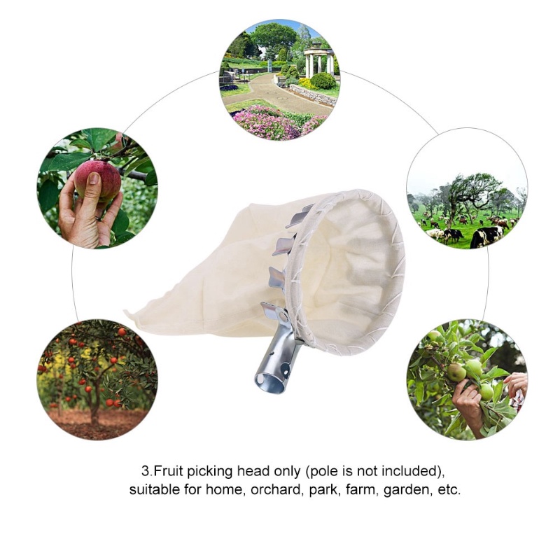 COD อุปกรณ์สอยผลไม้ แบบเหล็ก ตะกร้อสอยผลไม้ พร้อมถุงเก็บ ป้องกันผล เส้นผ่าศูนย์กลาง16ซม - รูปที่ 2