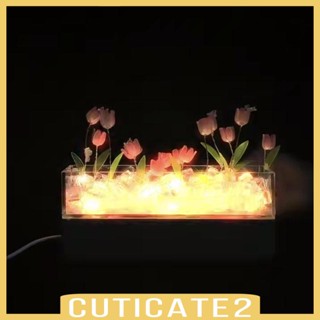 [Cuticate2] โคมไฟกลางคืน สําหรับตกแต่งห้องรับประทานอาหาร หอพัก ออฟฟิศ