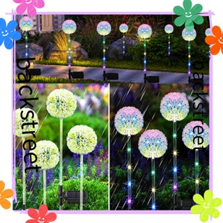 Backstreet โคมไฟ LED ดอกแดนดิไลออน พลังงานแสงอาทิตย์ สําหรับตกแต่งสวน