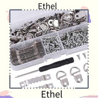 Ethel1 ชุดไม้แขวนรูปภาพ สเตนเลส พร้อมสกรู สําหรับบ้าน ออฟฟิศ 251 ชิ้น