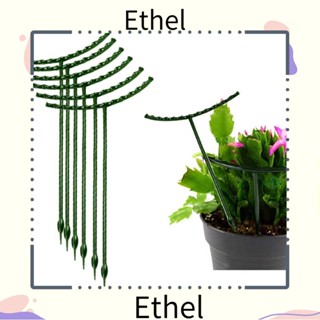 Ethel1 แหวนยึดต้นไม้ ทรงกลม ขนาดเล็ก สําหรับปีนเขา กลางแจ้ง 6 ชิ้น