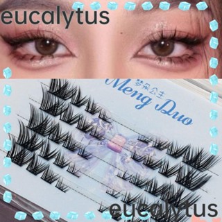 Eucalytus1 ขนตาปลอม ไฟเบอร์เทียม แฟชั่น สําหรับผู้หญิง