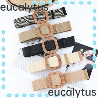 Eucalytus1 เข็มขัดฟางถัก ยืดหยุ่น ลําลอง แฟชั่นฤดูร้อน