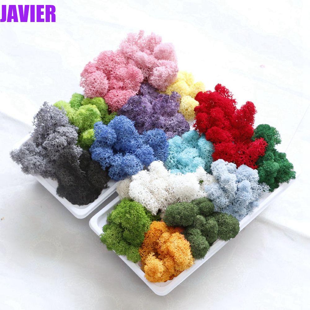 Javier มอสเทียม DIY พืชสีเขียว ห้องนั่งเล่น มินิ ภูมิทัศน์ ดอกไม้ปลอม พืชประดิษฐ์