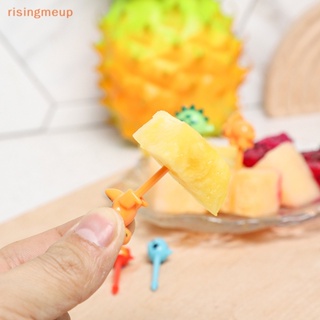 [risingmeup] ส้อมจิ้มผลไม้ ไม้จิ้มฟัน ลายการ์ตูนสัตว์น่ารัก ขนาดเล็ก สําหรับตกแต่งกล่องอาหารกลางวัน อาหารเสริมเด็ก