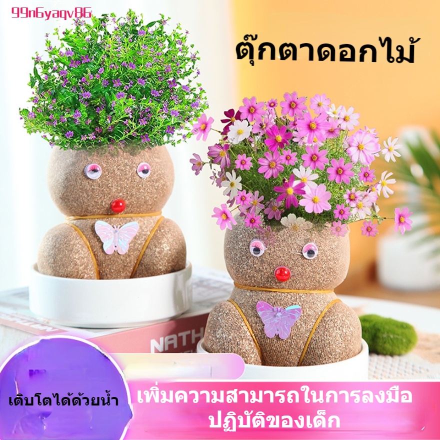 การงอกพืชกระถางขนาดเล็กสร้างสรรค์ สนุกและเติมสีสันให้บ้าน เหมาะสำหรับพื้นที่เล็ก ๆ
