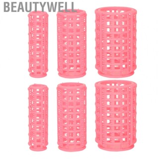 Beautywell Self Grip Hair Roller  30pcs Styling Tool Hair Roller Ergonomic  for Women for Hair Salon