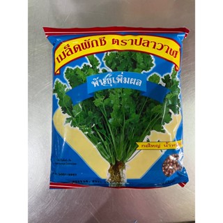 เมล็ด ผักชีตราปลาวาฬ 300g กอแน่น ใบใหญ่ กลิ่นหอม จำนวน 50 ถุง