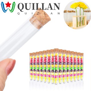 Quillan หลอดทดลองพลาสติกใสพร้อมจุกก๊อกสําหรับปาร์ตี้คริสต์มาส 20 ชิ้น