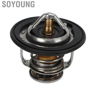 Soyoung Thermostat Assy  Deformation 19301 P08 305 for Car