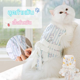 😺พร้อมส่ง😺ชุดทำหมันแมว ชุดกันเลีย ป้องกันเลียแผลหลังผ่าตัด เสื้อทำหมัน  เสื้อหลังผ่าตัด