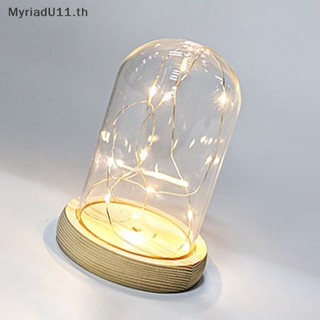 Myriadu ฐานโดมแก้ว พร้อมไฟ LED สําหรับตกแต่งห้องนอน DIY