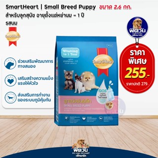 SH-Blue ลูกสุนัขหย่านม-1ปี (พันธุ์เล็ก) 2.6กก.