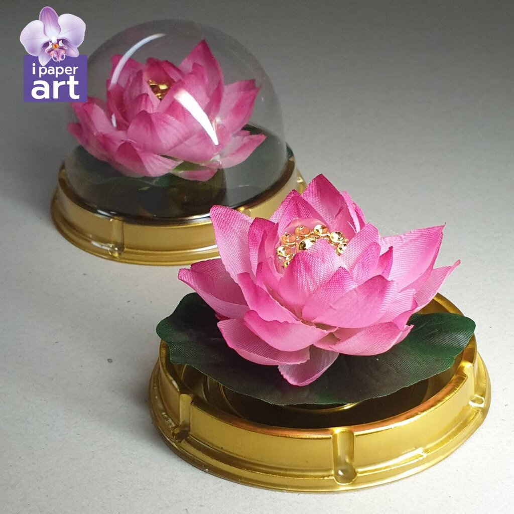 ดอกบัวจิ๋ว |ไหว้พระ พระแม่กวนอิม พระแม่ลักษมี และเทพทุกพระองค์