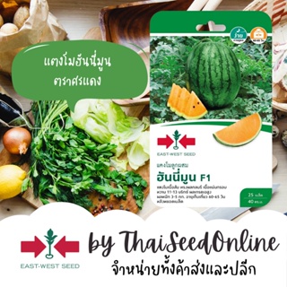 GGEW เมล็ดพันธุ์ แตงโมฮันนี่มูน ฮันนีมูน 25 เมล็ด ตราศรแดง Yellow Watermelon