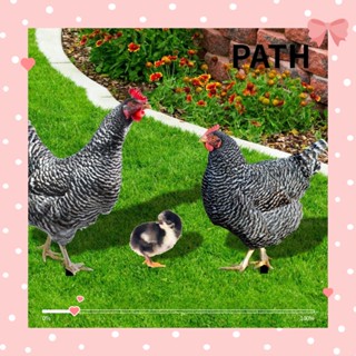 PATH รูปปั้นไก่อะคริลิค แบบสองด้าน สําหรับตกแต่งสวนกลางแจ้ง