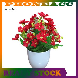 Phoneacc ต้นบอนไซปลอม สีสันสดใส สําหรับตกแต่งสวน งานฝีมือ