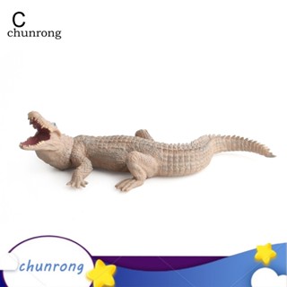 Chunrong โมเดลฟิกเกอร์ PVC รูปสัตว์ป่า ของเล่นเสริมการเรียนรู้เด็ก