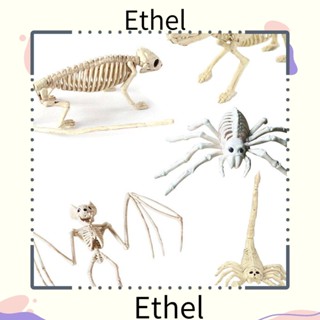 Ethel1 กระโหลกเทียม รูปสัตว์ โครงกระดูก จิ้งจก สําหรับตกแต่งบ้าน ปาร์ตี้ฮาโลวีน