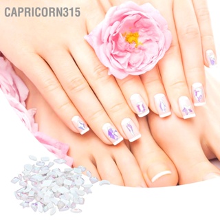 Capricorn315 Nail Art Rhinestones Aurora Multipurpose Diamonds for Home Salon Schools