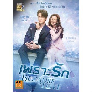 หนัง DVD ออก ใหม่ เพราะรัก (Because of Love) 18 ตอนจบ (เสียง ไทย | ซับ ไม่มี) DVD ดีวีดี หนังใหม่