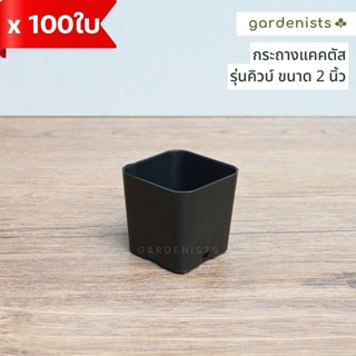 กระถางแคคตัส ทรงสี่เหลี่ยม รุ่นคิวบ์ ขนาด 2 นิ้ว แพ็ค100ใบ