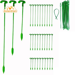 ไม้เดิมพันสนับสนุนพืช 30 แพ็คสวนต้นไม้แบบลำดับเดียวรองรับเดิมพันพืชไม้ค้ำยันพืชแท่งพืช