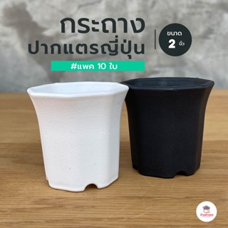 ( แพค 10 ใบ ) กระถาง 2 นิ้ว #ปากแตรญี่ปุ่น 8 เหลี่ยม กระถางแคคตัส กระถางกระบองเพชร กระถางพลาสติก